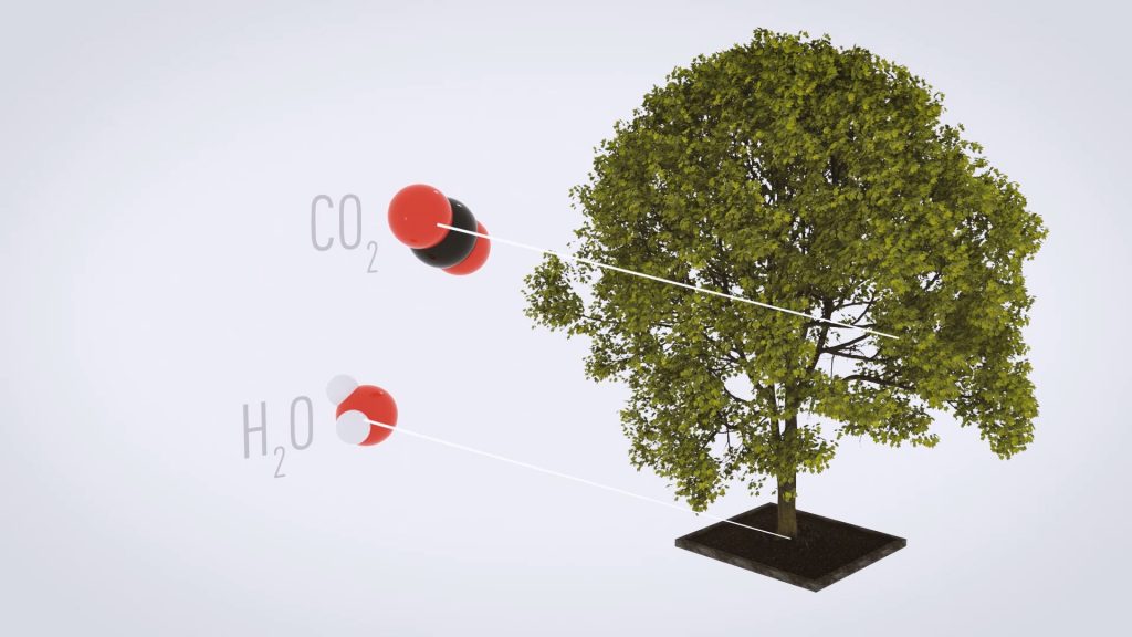 3D Science explainer graphic - Artificial leaf technology