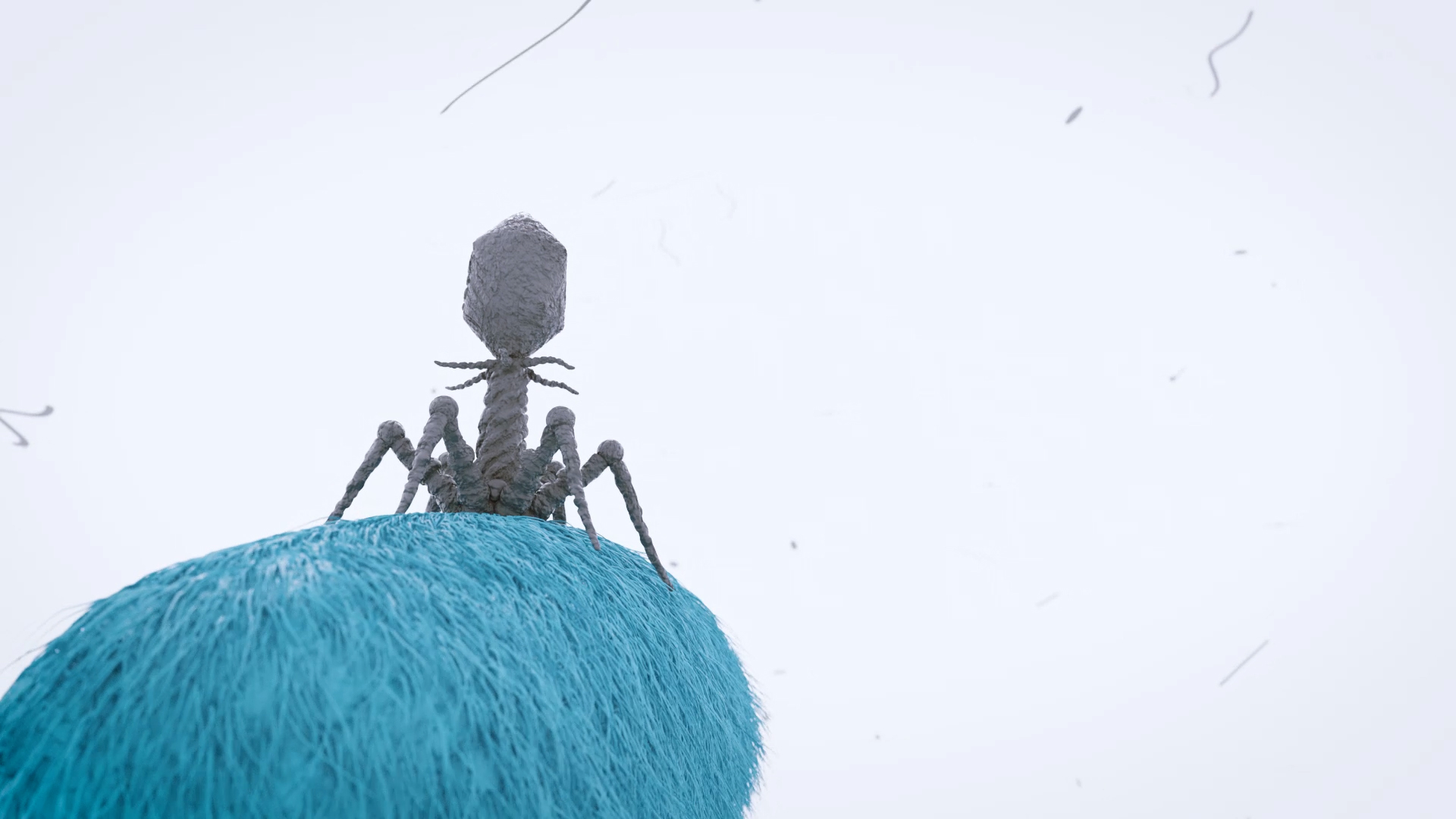 Bacteriophage 3d animation 02